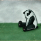 ExHentai: Storia di un panda molto triste